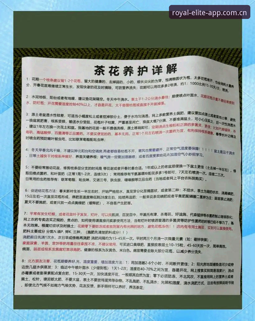 新手必看！掌握皇家国际每日更新的6个实用技巧